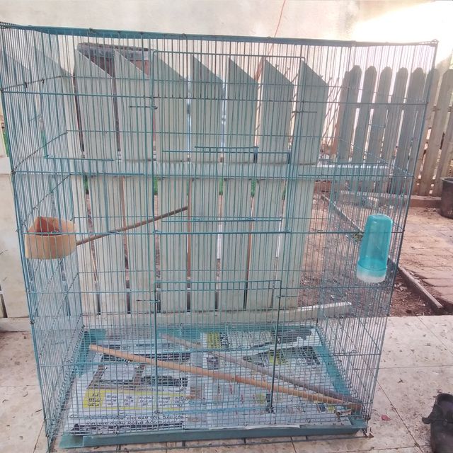 תמונת מודעה - חיות מחמד