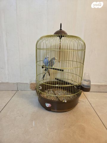 תמונת מודעה - חיות מחמד