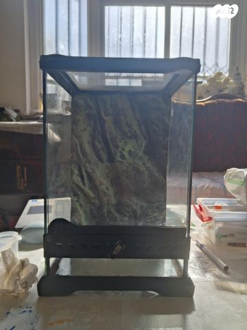 תמונת מודעה - חיות מחמד