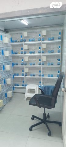 תמונת מודעה - חיות מחמד