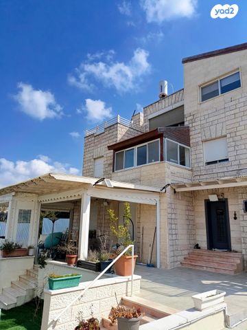 מבוא הליבנה 6