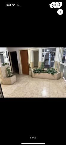 אריה רובין 14