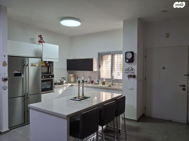 ליאו פיקרד 31