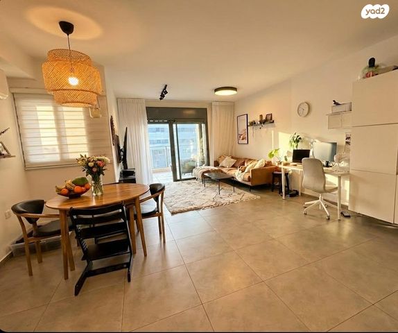 אלישע הנביא 24