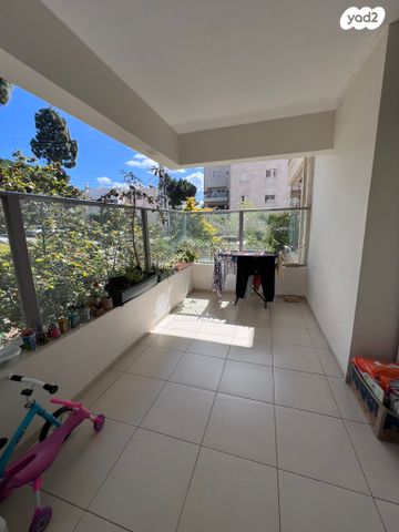 משה סורוקה 20