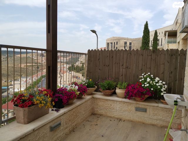 אוהב ישראל 8