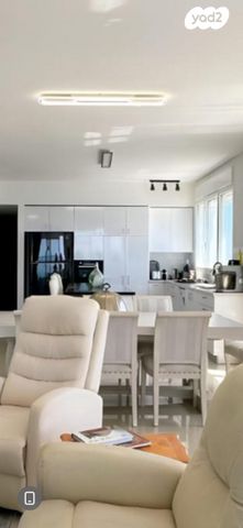 שלמה המלך 50