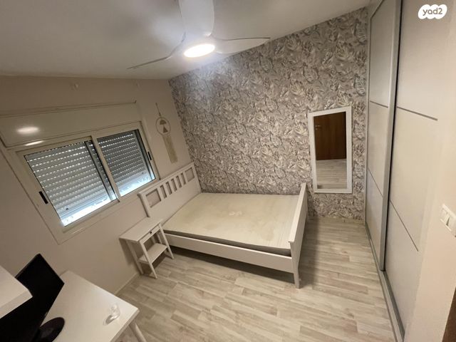 עלי דיוויס 6