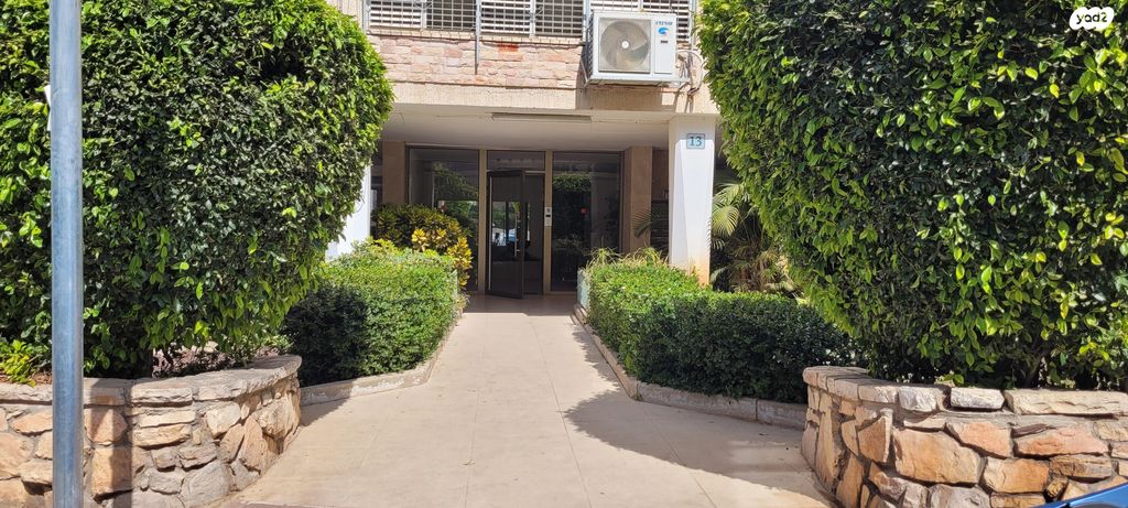 חוה לוצקי 13