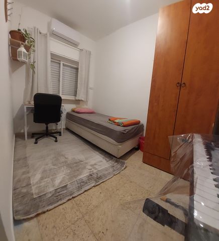 דגל ראובן 11