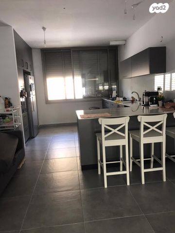 ברודצקי אשר 24