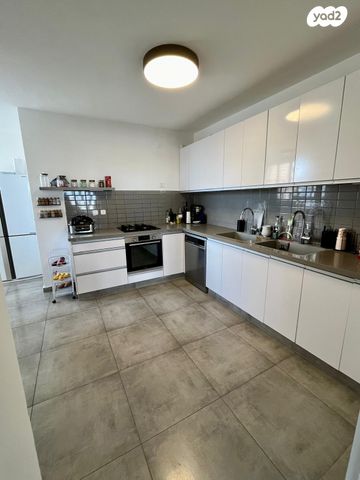 דגל ראובן 11