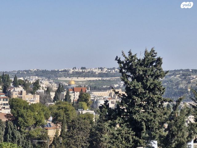 חנוך אלבק 15