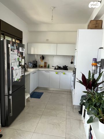 השר שפירא 44