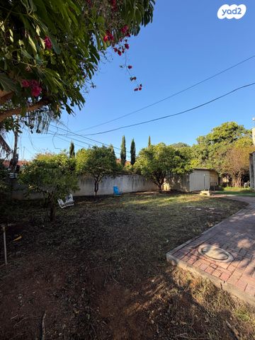 אבשלום דינוביץ 24