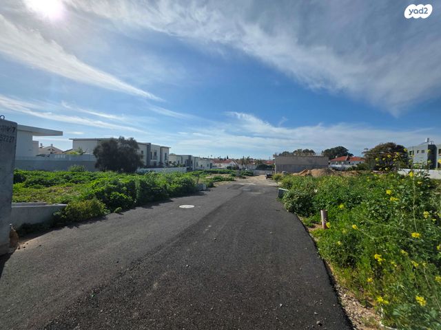 המושבה הגרמנית