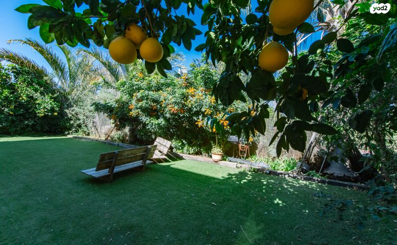 בית פרטי/ קוטג'