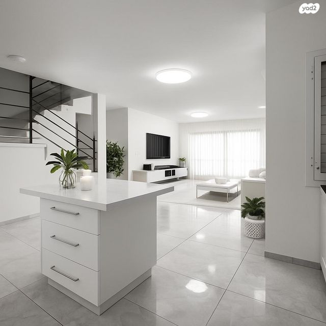 מודעת נכס, רמת חן ובן ציון, נתניה