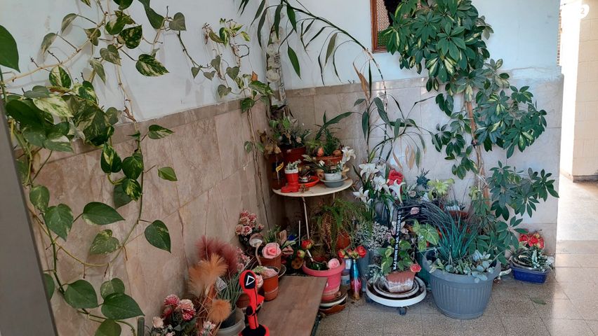 דירה, רמות יצחק, נשר