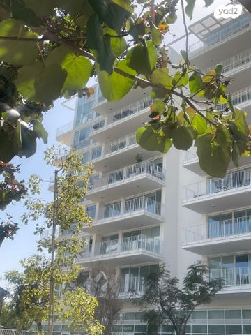 ארלוזורוב 20