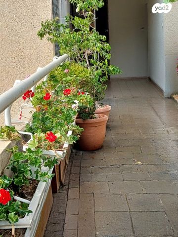 דירה, אזור תעשיה, נשר