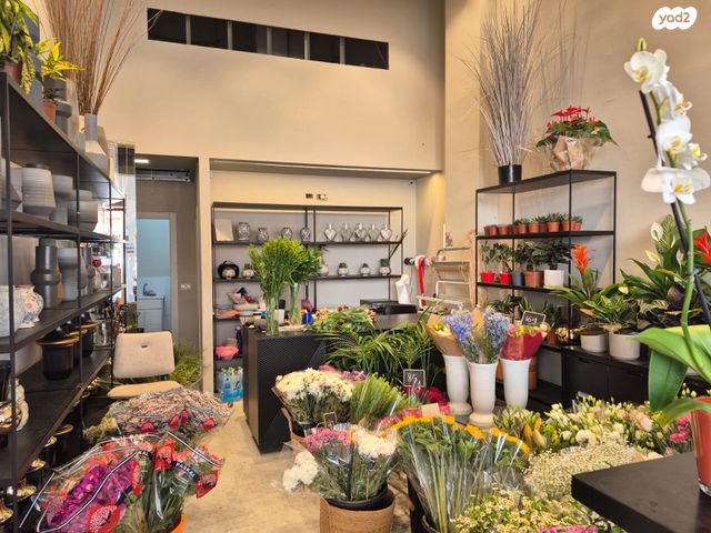 מודעת נכס, סוקולוב, מגדיאל, הוד השרון