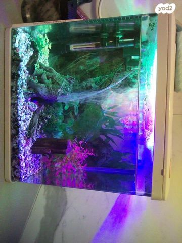 תמונת מודעה - חיות מחמד