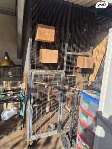 תמונת מודעה - חיות מחמד