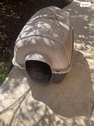 תמונת מודעה - חיות מחמד