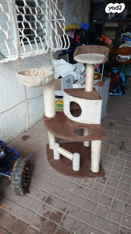 תמונת מודעה - חיות מחמד