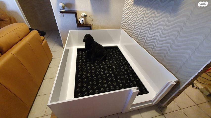 תמונת מודעה - חיות מחמד