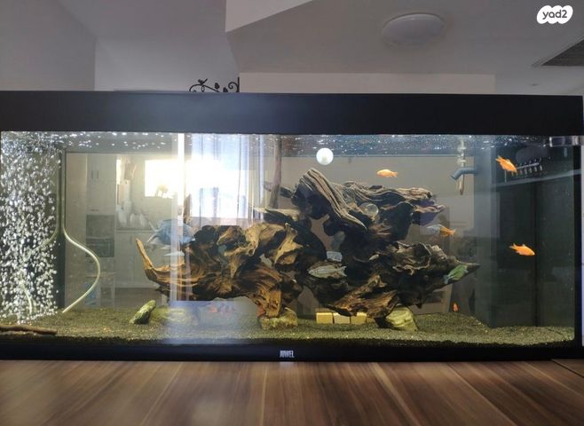 תמונת מודעה - חיות מחמד