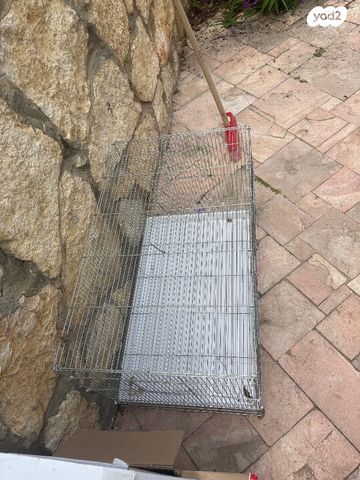 תמונת מודעה - חיות מחמד