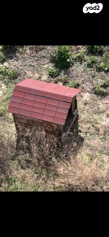 תמונת מודעה - חיות מחמד