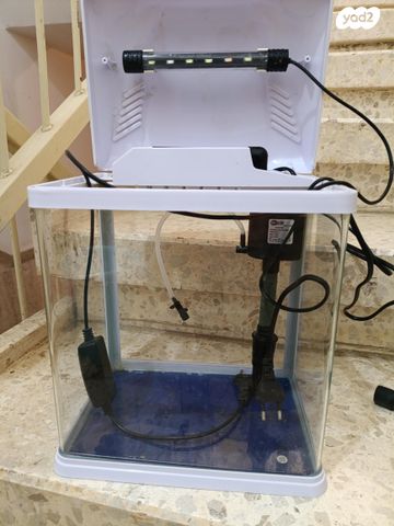 תמונת מודעה - חיות מחמד