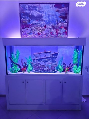 תמונת מודעה - חיות מחמד