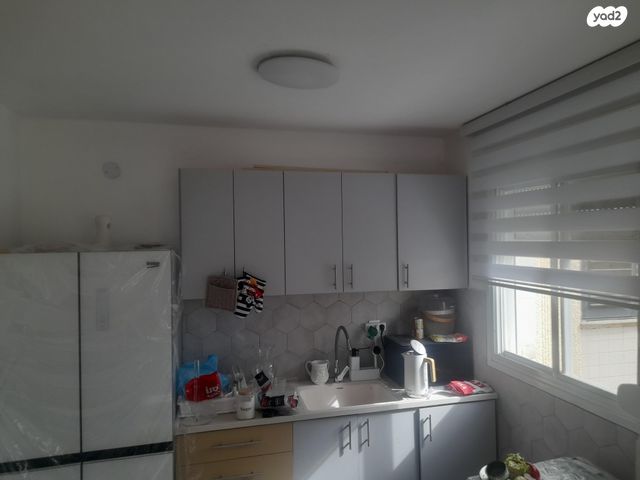 שמחה הולצברג 3