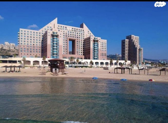 דוד אלעזר 10