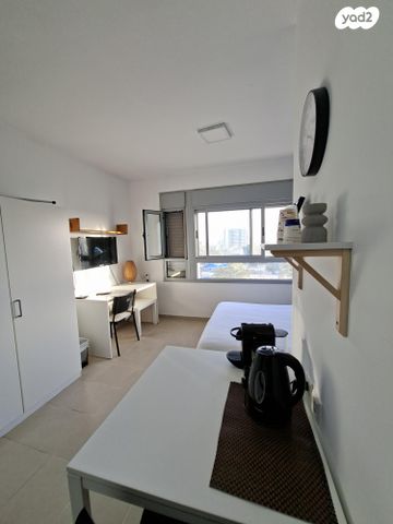 אלכסנדר ינאי 17