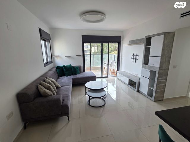 זלמן שניאור 23