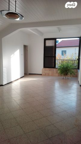 יוסף שפרינצק 43