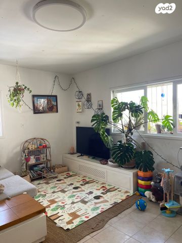 החשמונאים 6