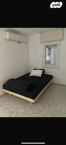 השר בכור שטרית 15