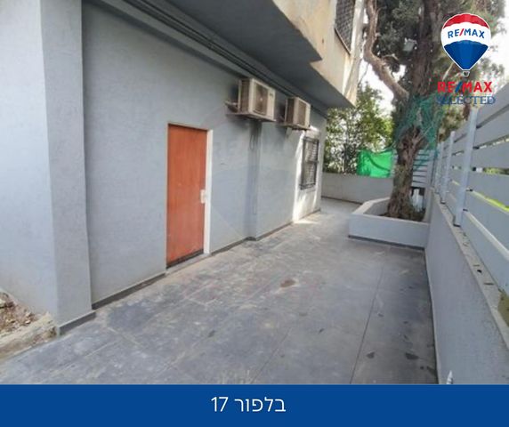 בלפור 17
