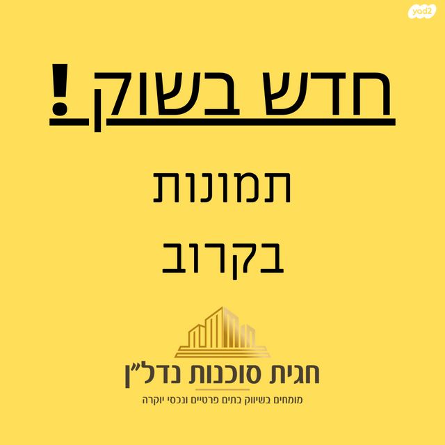 אהרון מסקין 