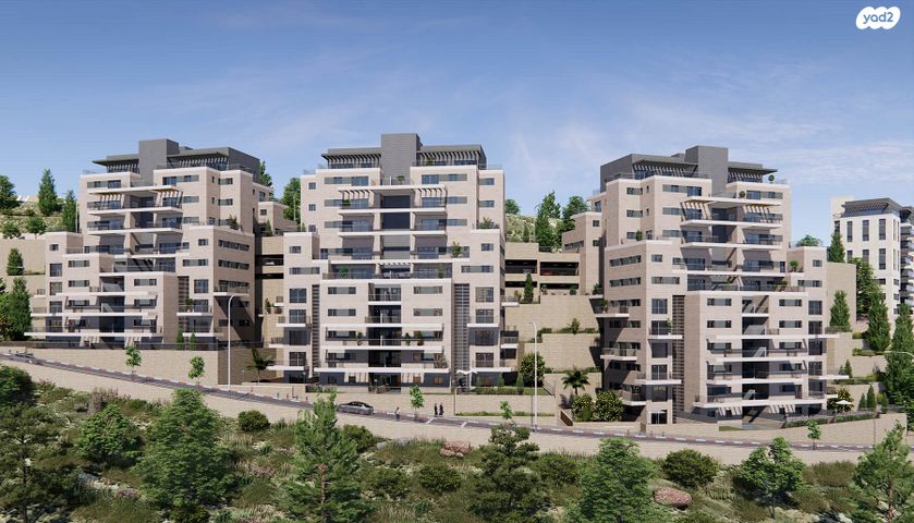 אבנר חי שאקי 