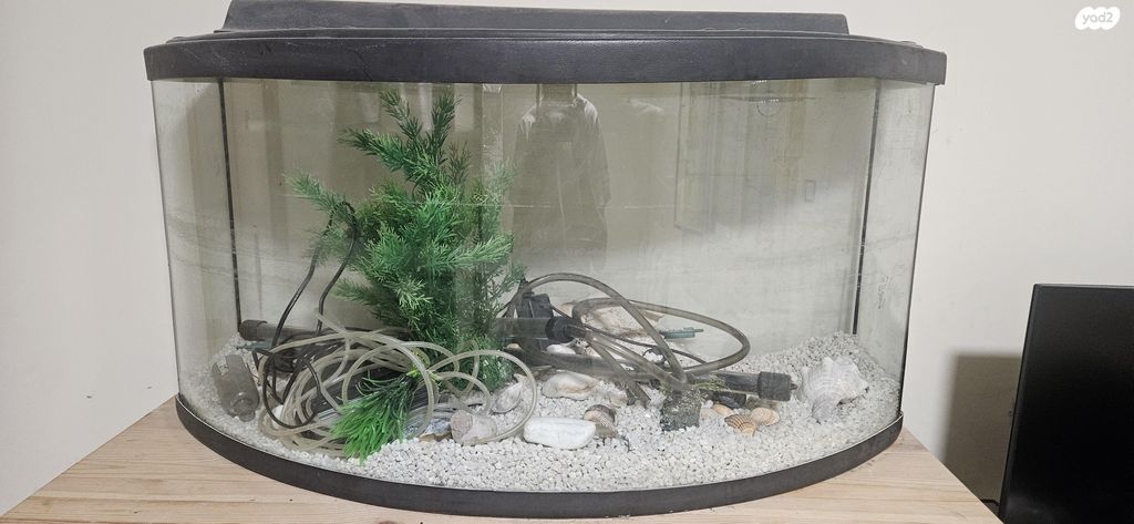 תמונת מודעה - חיות מחמד