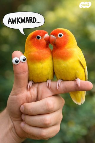 תמונת מודעה - חיות מחמד