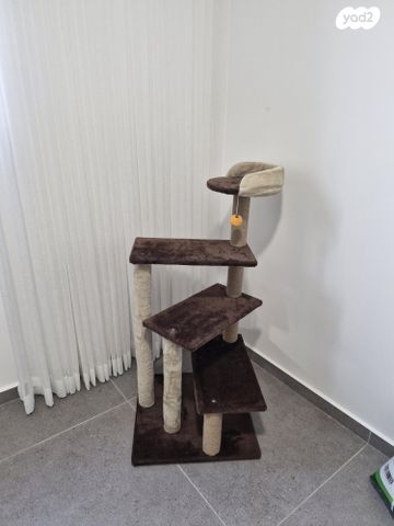 תמונת מודעה - חיות מחמד