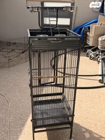 תמונת מודעה - חיות מחמד